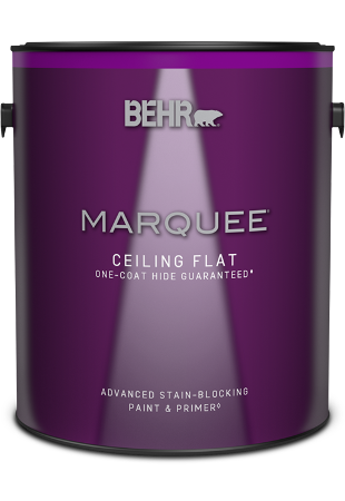 Interior Ceiling Paint